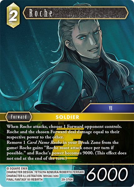 Roche [29-076H]