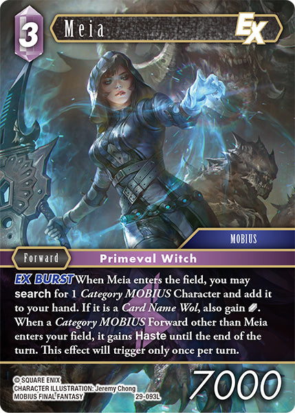 Meia [29-093L]